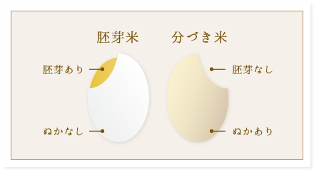 胚芽米と分づき米の違い