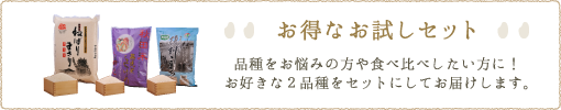 お得なお試しセット